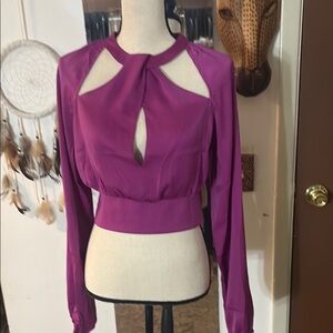 Purple Long Sleeve Cutout Blouse